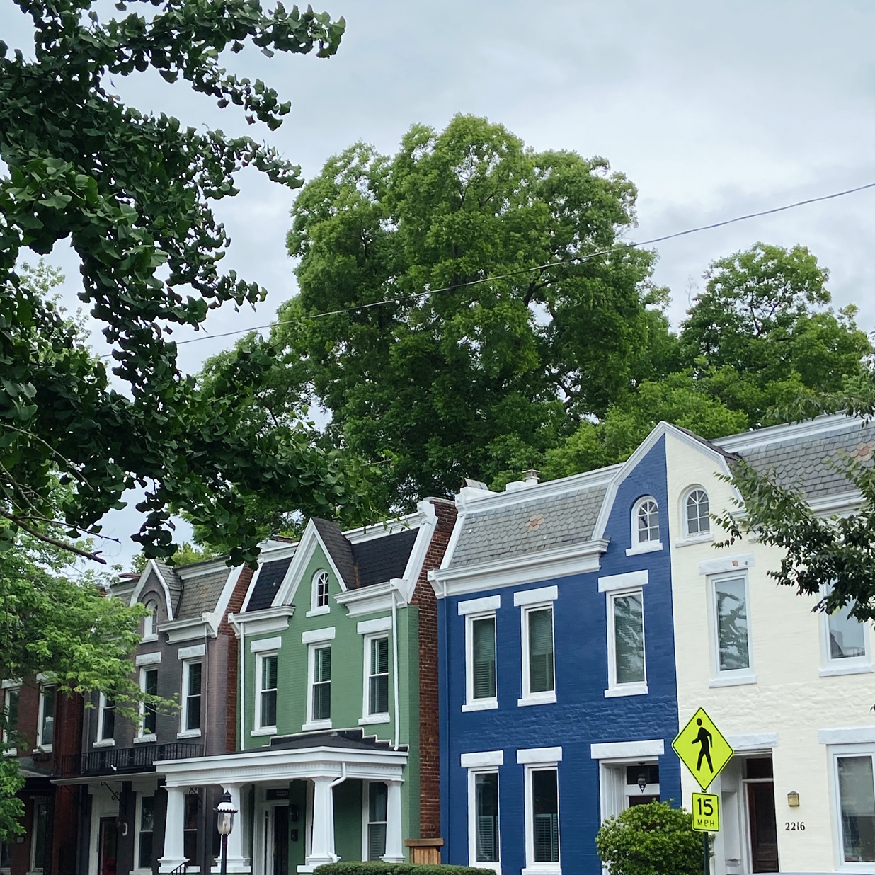 Downloadable Walking Route Animals in The Fan, Richmond, VA Timmons