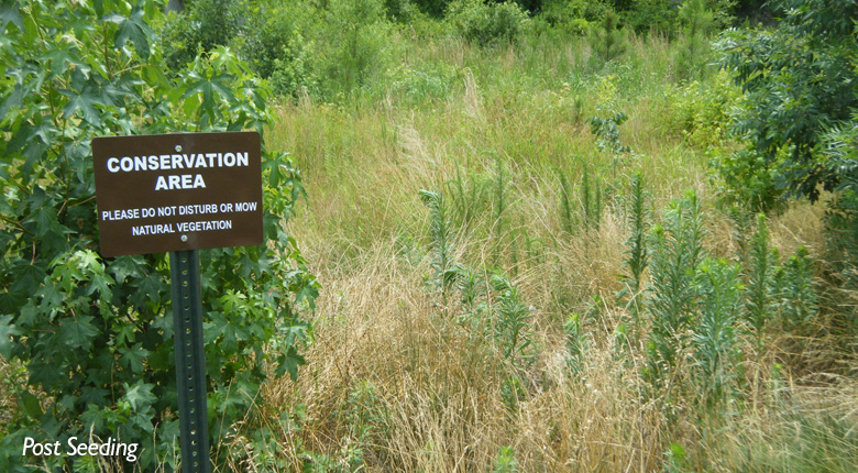 Fairfield Woods Stream Restoration Performance Monitoring - Timmons Group