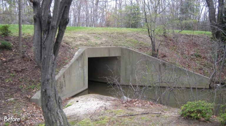 Lake Henning Sediment Forebay Design - Timmons Group