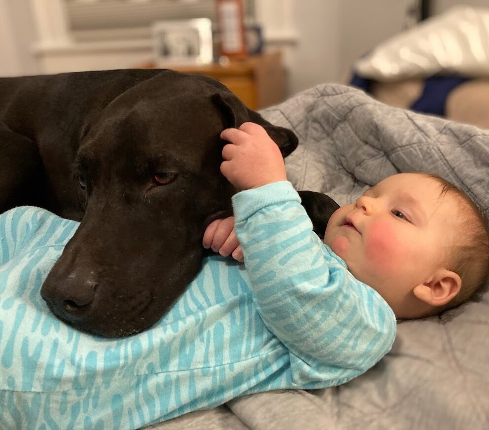 MaryKate's daughter and their dog