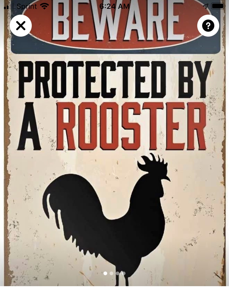 Sign that reads "Beware protected by a rooster" with a silhouette of a rooster