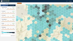 Value Explorer Screenshot