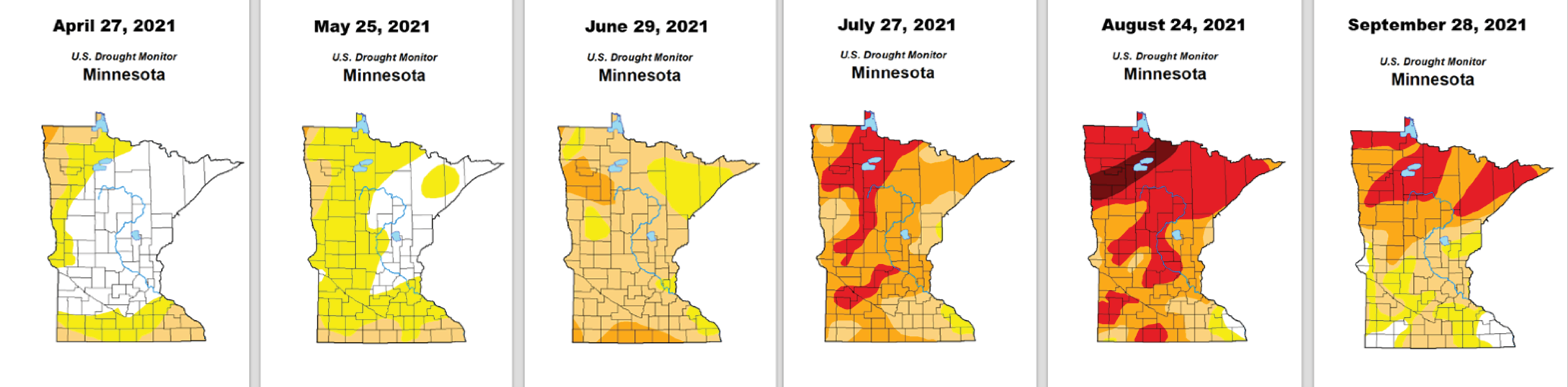 Minnesota’s Wildfires Reporting, Tracking, and Managing with the