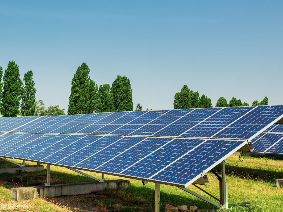 Stock photo of a solar farm.