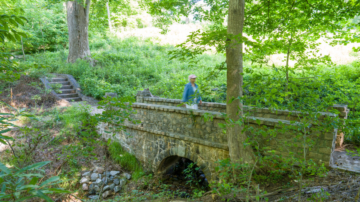Dogwood Dell Footbridge Rehabilitation - Timmons Group
