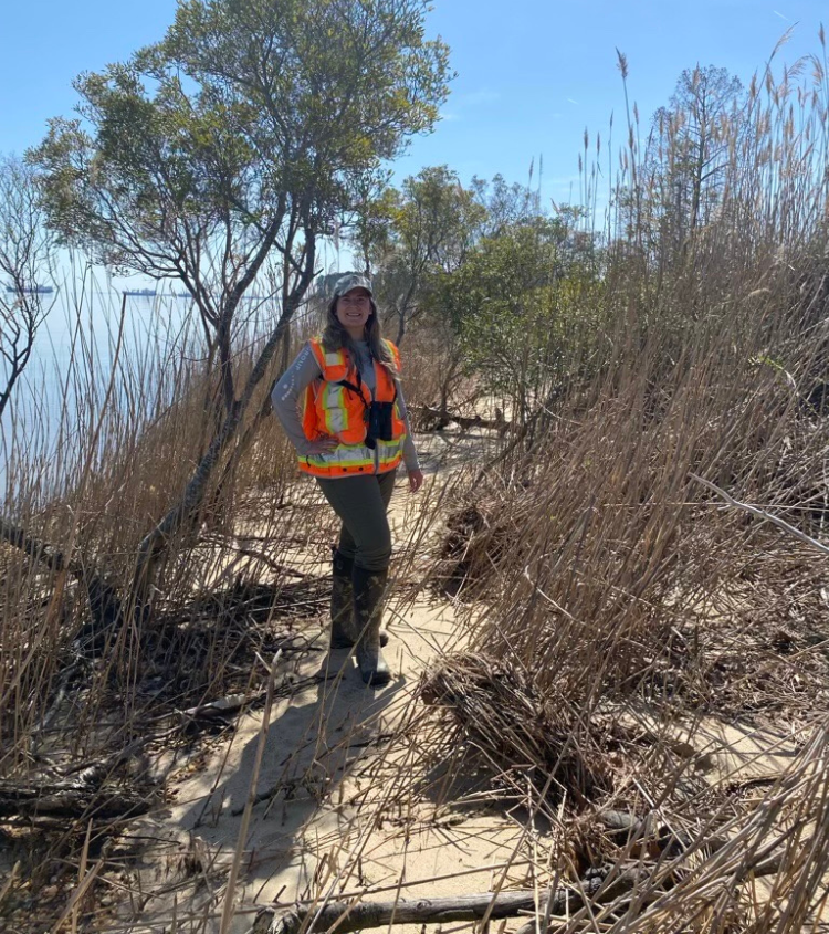 A Timmons Group environmental scientist standing on a sand trail wearing an orange safety vest and binoculars, performing a bald eagle nest survey.