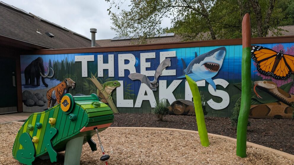 A playground with a large frog shaped play equipment with a sign that states THREE LAKES behind it.