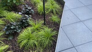A close-up of a pavement sidewalk with greenery growing by it's side.